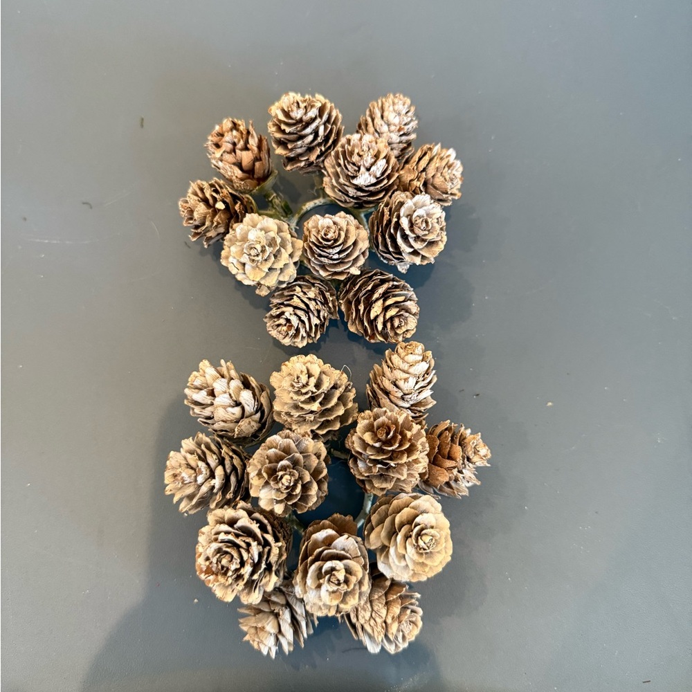 Hobby Lobby Pinecone Candle Holders - Brown and Tan